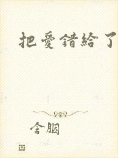 把爱错给了你封面
