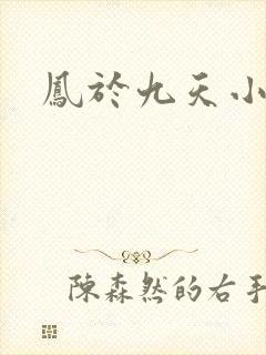 凤于九天小说