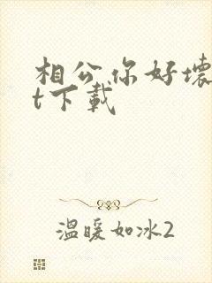 相公你好坏txt下载