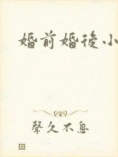 婚前婚后小说封面