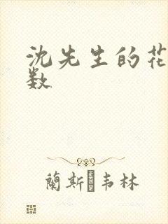 沈先生的花式调数