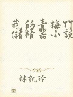 我的青梅竹马是储精器小说