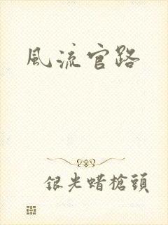 风流官路封面