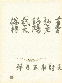 总裁的私有宝贝穆天阳免费