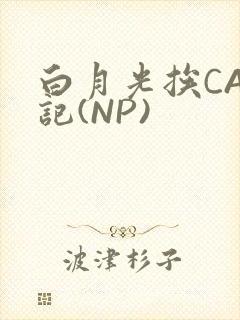 白月光挨CAO记(NP)