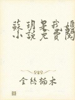 苏玥是我媳妇的小说免费阅读全文