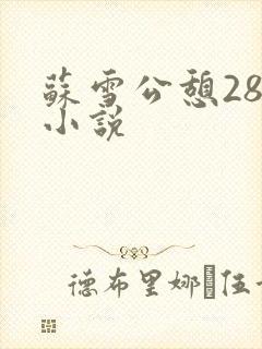 苏雪公憩28篇小说