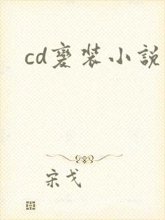 cd变装小说