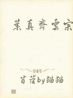 叶真齐云宗免费封面