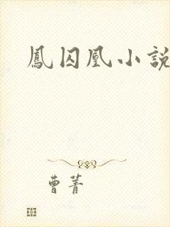 凤囚凰小说