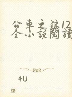 公车之狼12集全小说阅读