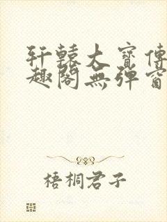 轩辕大宝传奇笔趣阁无弹窗