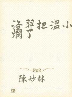 洛羿把温小辉做烂了