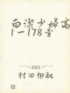 白洁少妇高义第1一178章