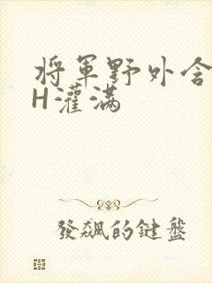 将军野外含公主H灌满