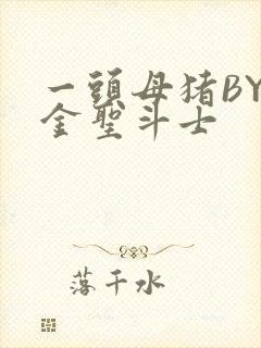 一头母猪BY黄金圣斗士