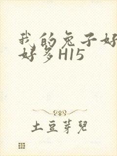 我的兔子好软水好多H15封面