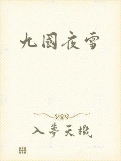 九国夜雪封面