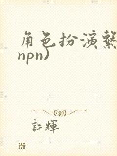 角色扮演系统(npn)