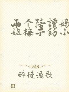 两个陪读妈妈赵姐梅子的小说