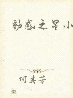 动感之星小蝶封面