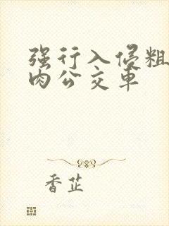 强行入侵粗暴h肉公交车