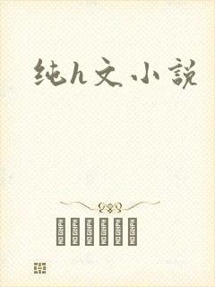 纯h文小说封面