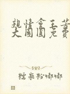 亲情会王芳高敏大团圆免费阅读