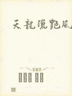 天龙猎艳风流封面