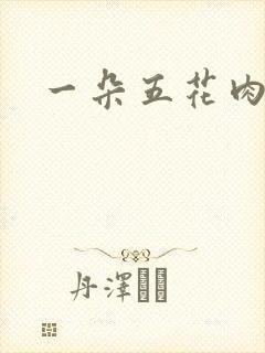 一朵五花肉封面