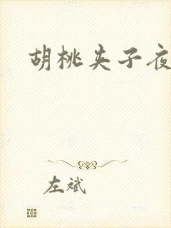 胡桃夹子夜未眠