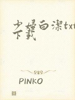 少妇白洁txt下载