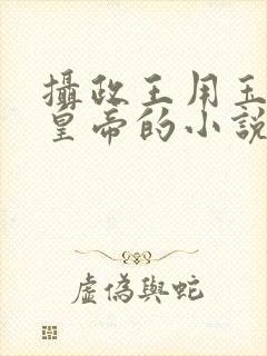 摄政王用玉髓整皇帝的小说