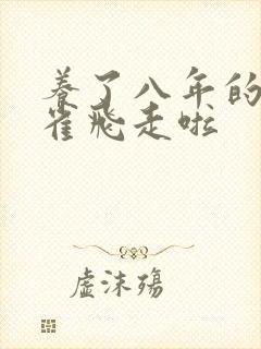 养了八年的金丝雀飞走啦