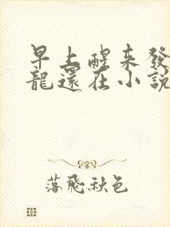 早上醒来发现巨龙还在小说封面