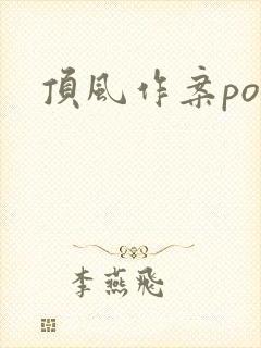 顶风作案po封面