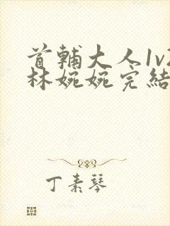 首辅大人1v2林婉婉完结了吗封面