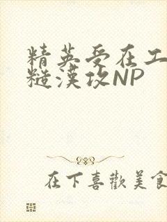 精英受在工地被糙汉攻NP封面