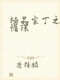 极品家丁之因果循环封面