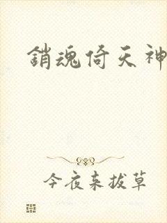 销魂倚天神雕