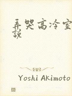 弄哭高冷室友小说