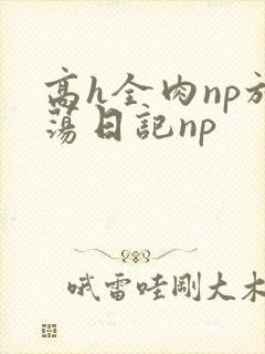 高h全肉np放荡日记np