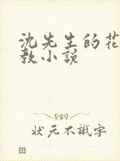 沈先生的花式管教小说