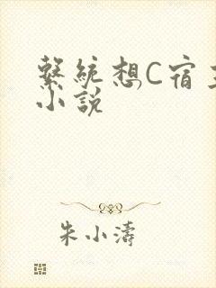 系统想C宿主的小说