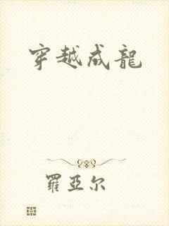 穿越成龙封面