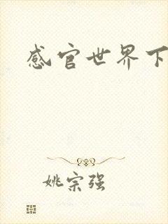 感官世界下载封面