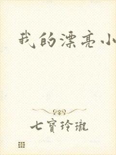 我的漂亮小后妈