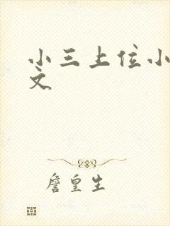 小三上位小说全文