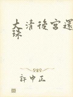 大清后宫还君明珠