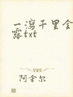 一泻千里金银花露txt